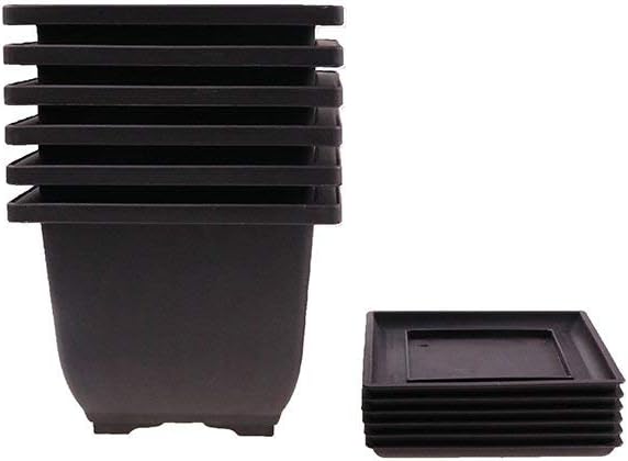 6PCS/Pack Retro Style Deep Square Small Bonsai Training Pots with Tray, Mini Plastic Mocha Garden Flower Pot 5"