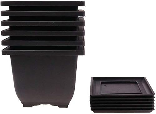 Miniatura 1 de Paquete de 6 macetas pequeñas de entrenamiento de bonsái de estilo retro con bandeja mini maceta de plástico para jardín de moca de 5 pulgadas