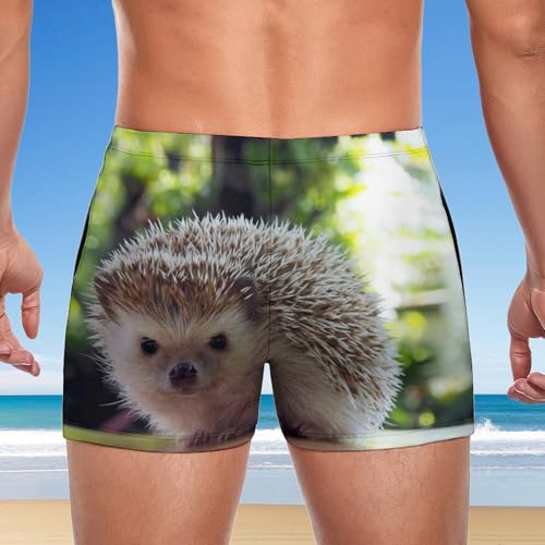 Slip de bain hérisson pour homme le short de natation confortable
