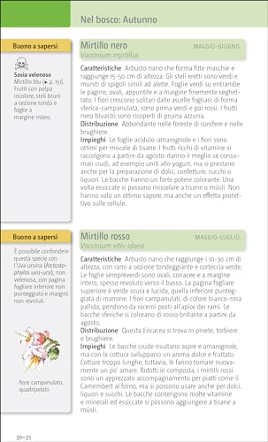 Erbe E Frutti Selvatici Commestibili. Ediz. Illustrata - 7