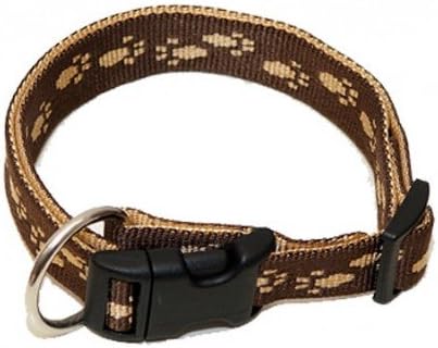 dog kitty litter box