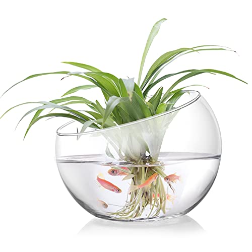 YOUEON 2 Pcs Glass Slant Cut Bowl Vase, 6.5" W x 5.5" H, 5.2" W x 4.8" H Clear Glass Terrarium Bowl for Plants, Succulent, Air Plant, Candy Bowls, Fruit Bowls for Centerpiece, Wedding, Home Decor - Image 3
