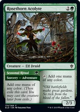 Magic: The Gathering - Rosethorn Acolyte - Throne of Eldraine
