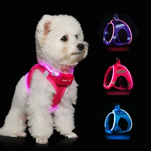 Top 10 Light Up Dog Harness of 2022 Katynel