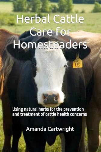 Herbal Cattle Care for Homesteaders: Using natural herbs for the prevention and treatment of cattle health concerns