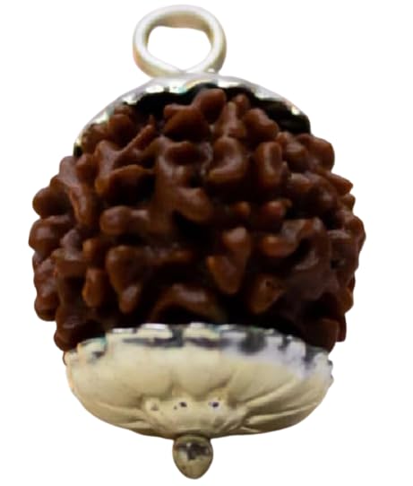 BluDiamond 7 Mukhi Rudraksha Original Certified Nepali रूद्राक्ष सात मुखी Igl 7 Face Rudraksha Nepal Seven Mukhi Rudraksha Bead 7 मुखी असली रुद्राक्ष कंठ माला Saat Mukhi Rudraksha Pendent For Men-image-29
