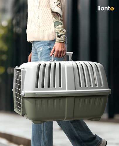 lionto Hundetransportbox aus Kunststoff mit Metallgitter, 58,5x35,5x40 cm, Transportbox mit praktischem Schließsystem & Tragegriff, auch geeignet für Katzen & Kleintiere, für Haustiere bis 15kg, grün