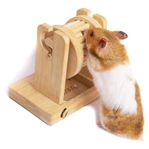 Rat Enrichment Foraging Toys for Small Animals, Interactive Hide Treats Puzzle Snuffle Game for Hamster(Dwarf, Syrian, Robo, Chinese), Rats, mice