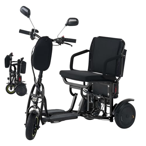 WIILAYOK 3-Wheel Folding Mobility Scooter