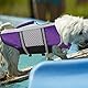 Queenmore Hunde Schwimmweste, Rettungsweste, Schwimmweste Hund kleine große, Rettungsweste für Kajak, Bootfahren, Schwimmweste französische Bulldogge, Dackel (lila, L)