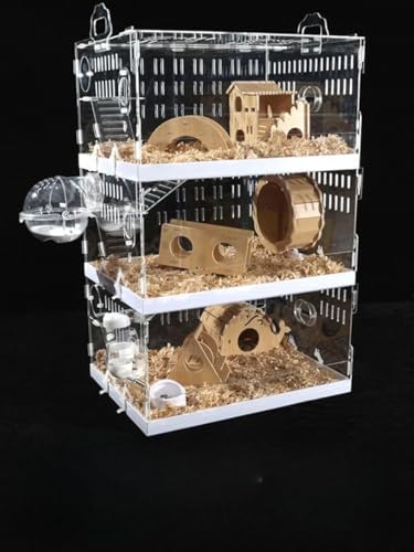 KOKUMON nX^[P[W GRAN EEoɂ g 3 iςݏdˉ\ lXȃX^Cgݍ킹p\ g[fUC |₷ ʋCς ^т₷ SȃANZT