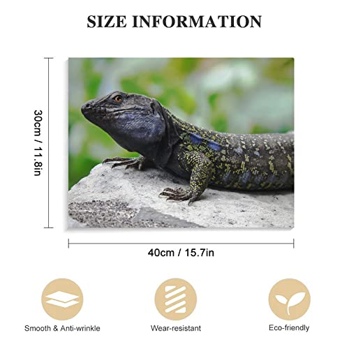 Art Posters Animal Black Lizard Wall Posters Wall Art Paintings Canvas Wall Decor Home Decor Living Room Decor Aesthetic Prints 24X32Inch(60X80Cm) Frame-Style #TOP1