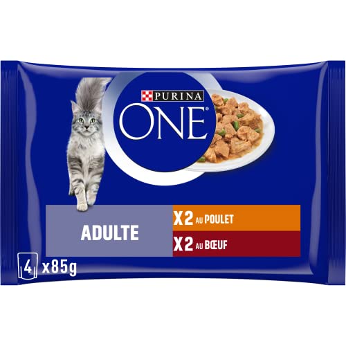 PURINA ONE | BIFENSIS | Chat Adulte | Soutien la vitalité du Chat, Les os, Les Muscles et Les...