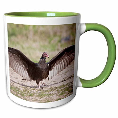 3dRose Turkey Vulture bird (Cathartes Aura) warming 15oz Two-Tone Green Mug