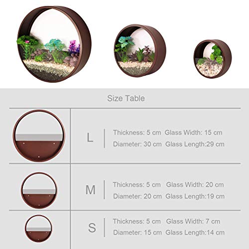 Zeetoon Modern Wall Planters Wall Vase Succulent Planter Circle Round Flower Pot Metal Iron Indoor Vertical Container Wall Hanging Home Decoration Size S,M,L 3 Pack Set #TOP2