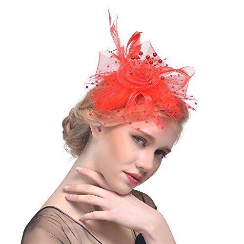 Image of DRESHOW Fascinators Hat Flower Mesh Ribbons Feathers on a Headband and a Clip Tea Party Headwear for Girls and Women