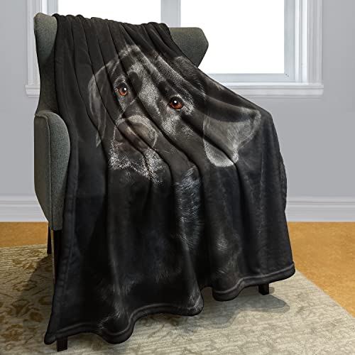 Hommomh Black Lab Blanket, Gorgeous Labrador Dog Print, Soft Fluffy Fleece Throw 60"X80" #TOP1