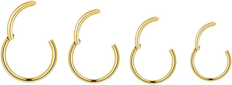 4Pairs/Pcs 18G Surgical Steel Hinged Clicker Segment Nose Rings Hoop Helix Cartilage Daith Tragus Sleeper Earrings Body Piercing for Women Men 6mm 8mm 10mm 12mm