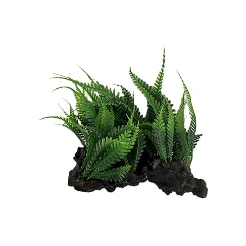 Gingerbread Pet Supply Plastic Aquatic Fern Plant with Large Rock Cover