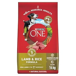 Purina ONE Smartblend Lot de 1 sachet de nourriture sèche pour chien, formule agneau et riz naturels, 14 kg