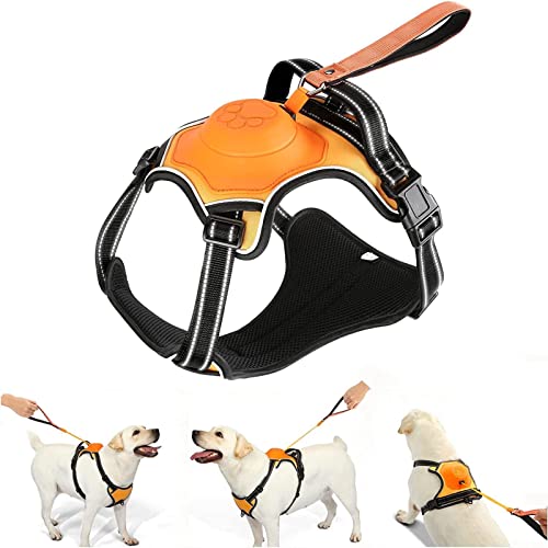 2-in-1 No Pull Dog Harness & Retractable Leash - Large Dog Harnes...
