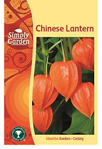 Simply Garden Chinese Lantern Seeds Grow Your Own Colourful 
