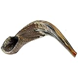 Kosher Shofar 9