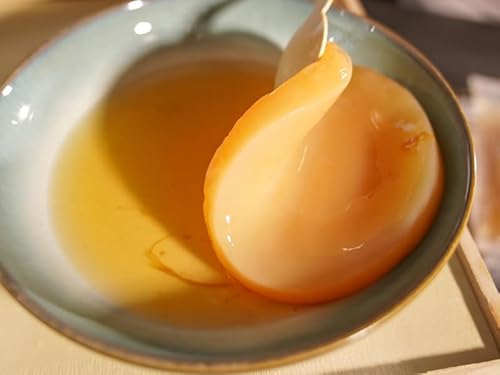 Kombucha Starter Scoby de Kombucha com Manual e Acessoria de Cultivo