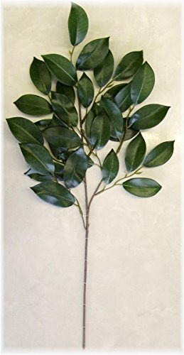 nZKd  t { [ႢOЂȂǑ傫ڂ̐_Ip] VN (55cm×30cmZ`) ʋp