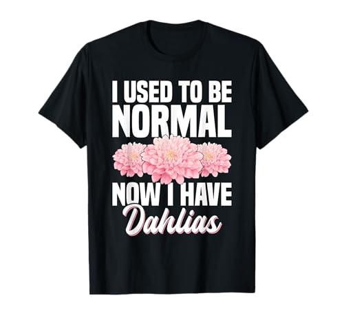 sN_AA͗pubN_At[ _A̎ TVc