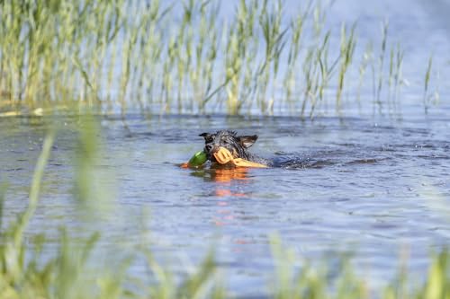 TRIXIE Ente Hundespielzeug - mit Stimme - Schwimmt komplett auf der Wasseroberfläche - 50 cm lang - orange/grün - 36207