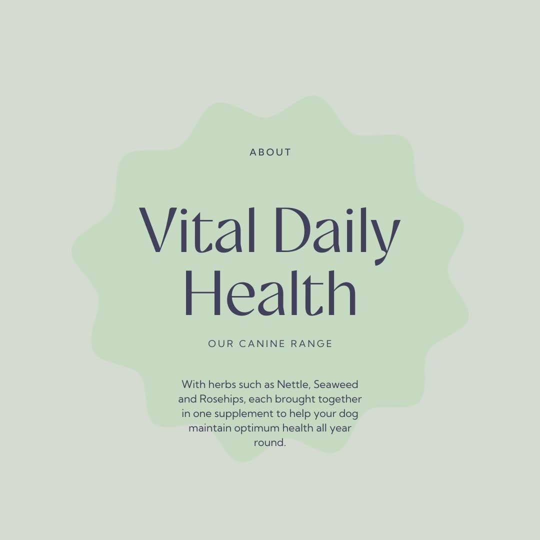 Hilton Herbs Canine Vital Daily Health Herbal Supplement for Dogs, 4.4 oz Tub