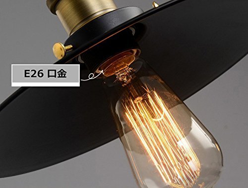 Amazon.co.jp : ペンダントライト コンセント式 直径30cm コード4.5m