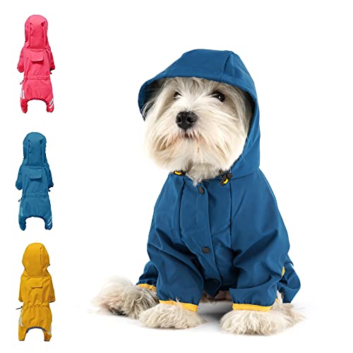 Top 10 Best Raincoat For Small Dogs Reviews & Buying Guide Katynel