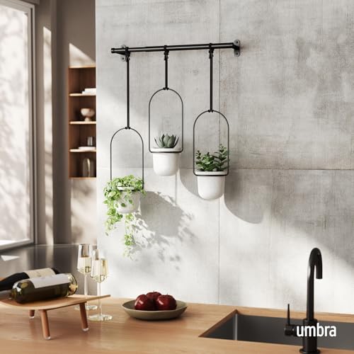 Umbra Triflora Hanging Planter for Window, Indoor Herb Garden, Set of 3, White/Black - Image 3