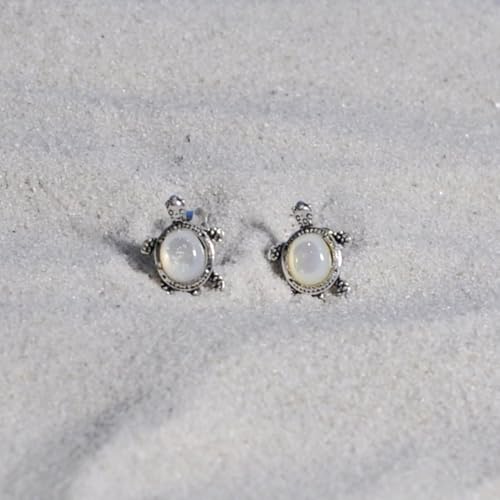Boucles d'oreilles tortue argent anti allergie nacre véritable