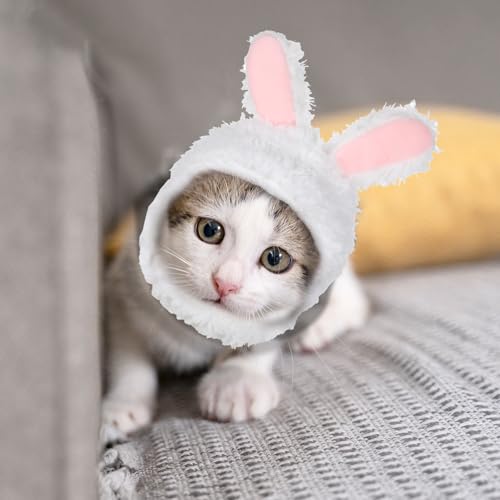 WLLHYF Süße Katze Wintermütze Warm Weich Bequem Verstellbar für Kleine Haustiere Kopfbedeckung Kostüm Kleidung für Katzen, Hunde (Weiß)