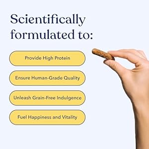 Sincere paws canine jerky treats  all pure jerky canine treats for coaching pets  human grade sticks  actual usa hen   cucciolini doodles