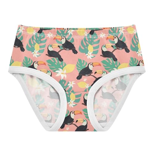 ZZKKO Toucan Tropical Leaves Girls Underwear Toddler Panties for Girls Comfort Brief Size 2T-8Y