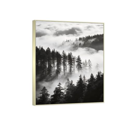 Tableau forêt noir et blanc pour salon : une évasion nature chic 60x75cm