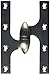 Deltana OK6040B15-L Solid Brass 6-Inch x 4-Inch Olive Knuckle Hinge