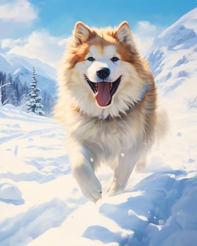 ZMHZMY Dog Paint by Number Kit for Adults,Alaskan Malamute Dog,Snowy