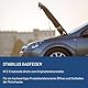 Stabilus Motorhaube Gasfeder 772928 LIFT-O-MAT® Motorhaubendämpfer mit 295 Newton Dämpfer u.a. für SEAT Alhambra, VW Sharan 710 2010-2015