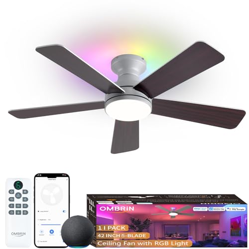 Ombrin 42 Inch Ceiling Fans with Lights, Smart Ceiling Fan with Alexa, Silver Ceiling Fan with RGB Lights Remote, 6 Speeds Reversible DC Motor, Modern Flush Mount for Bedroom Living Room