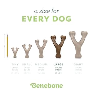 Benebone Wishbone Durable Dog Chew Toy for Aggressive Chewers, Real Peanut, Made in USA, Large Benebone Wishbone Durable Dog Chew Toy for Aggressive Chewers, Real Peanut, Made in USA, Large
