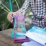 Educational Insights Nancy B de Science Kit de culture hydroponique de Club Way & Journal du jardinage