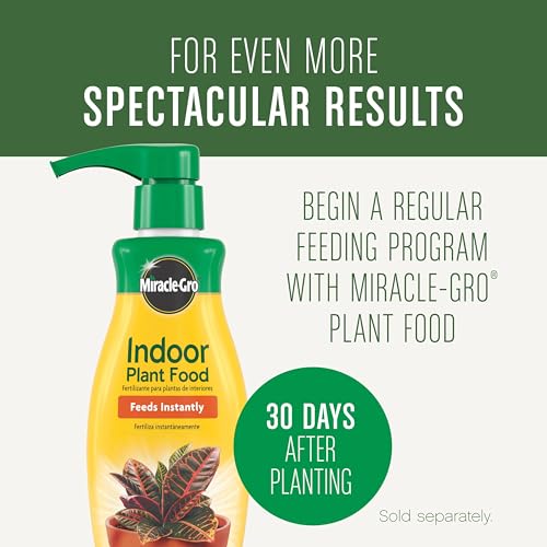 Miracle-Gro 72574500 Houseplant Potting Mix: Fertilized, Perlite Soil For Indoor Gardening thumb #1