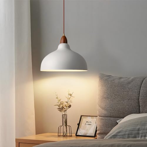 Lampe à suspension avec base E27 et dôme métallique style industriel