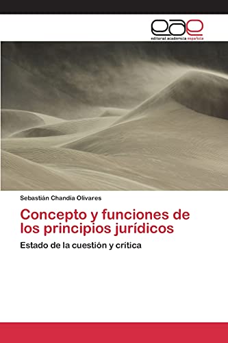 Concepto y funciones de los principios jurídicos: Estado de la cuestión y crítica (Spanish Edition)