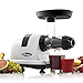 Omega J8006HDS Nutrition Center Quiet Dual-Stage Slow Speed Masticating Juicer Makes Fruit and Vegetable 80 Revolutions per Minute High Juice, 200-Watt, Silver (Renewed)